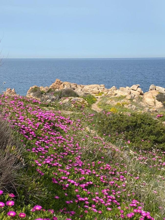 הוילה לה מדלנה Casa Mughetto R5055 Seafront, Private Sea Access, Swimming Pool מראה חיצוני תמונה